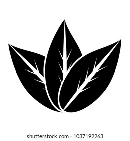 leaves icon over white background, vector illustration