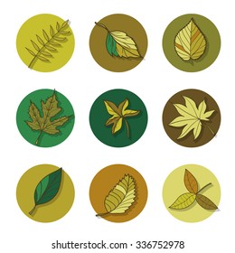 leaves icon. Red, yellow and green leaves of forest trees. Are used as buttons for web design