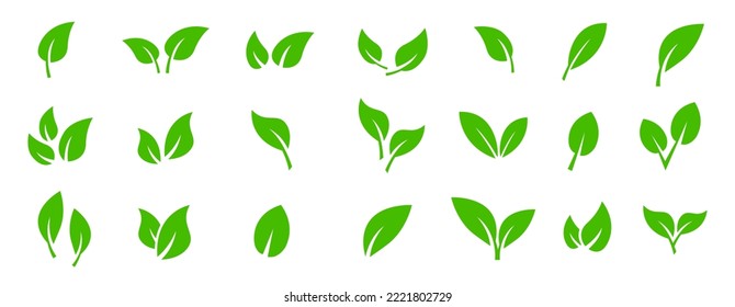 Leaves icon set. Collection green leaf for natural, eco, vegan, bio labels. Vector set