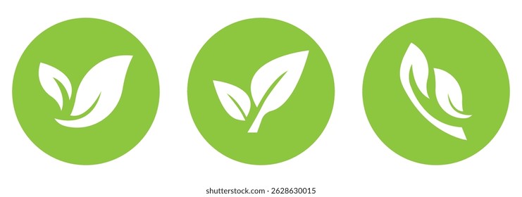 Leaves icon set. Leaves icon Collection green leaf. Eco leaves collection. Ecological concept. green leaf icons set eps 10