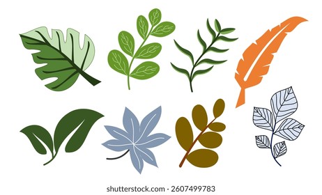 Leaves icon set. Leaves icon collection. Leaves illustration. Icon isolated on white background. Flat icon.