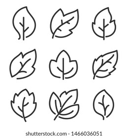 Leaves icon set. Design for logo and nature brand identity.