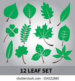 leaves icon set eps10