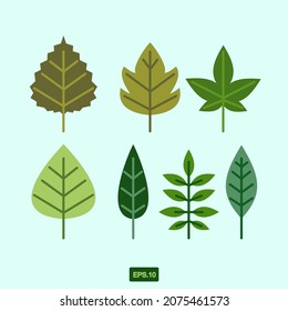 leaves icon set in flat design, botanical decorative illustration