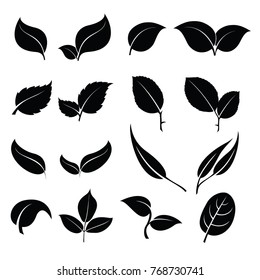 Leaves icon set isolated from the background. Collection black silhouettes of leaves. Leaves icon different shapes in modern flat style. Simple leaves tree.