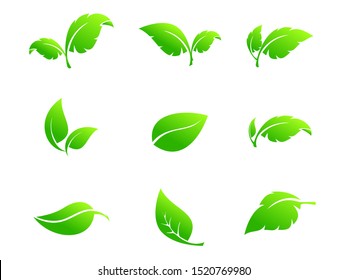 Leaves icon set isolated on white background. Various shapes of green leaves of trees and plants. Elements for eco and bio logos.