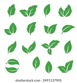 Belässt den Symbolsatz auf weißem Hintergrund. Verschiedene Formen von grünen Blättern von Bäumen und Pflanzen. Elemente für Öko- und Biologos