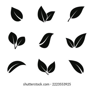 Leaves icon set. Leaf icons. Leaves of trees and plants. Vector elements for eco, bio and vegan logos. Vector illustration.