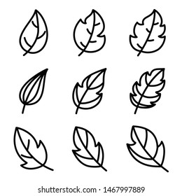 Leaves icon set. Leaf vector design for logo and nature brand identity.