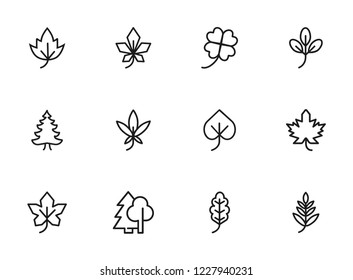 Leaves icon. Set of line icons on white background. Forest, fall, European flora. Trees concept. Vector illustration can be used for topics like season, botany, biology