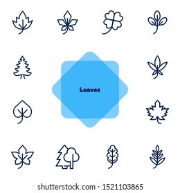 Leaves icon. Set of line icons on white background. Forest, fall, European flora. Trees concept. Vector illustration can be used for topics like season, botany, biology