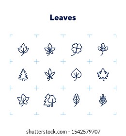 Leaves icon. Set of line icons on white background. Forest, fall, European flora. Trees concept. Vector illustration can be used for topics like season, botany, biology