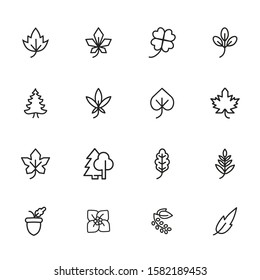 Leaves icon. Set of line icons on white background. Forest, fall, European flora. Trees concept. Vector illustration can be used for topics like season, botany, biology