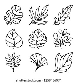 Leaves icon set. leaves logo design and  natural style symbol vector.