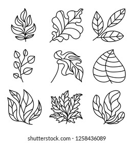 Leaves icon set. leaves logo design and  natural style symbol vector.
