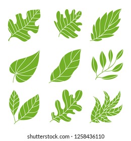 Leaves icon set. leaves logo design and  natural style symbol vector.