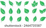 Leaves icon set. Leaves icon on transparent background. Collection green leaf. Eco leaves collection. Ecological concept. Vector EPS 10