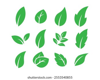 Leaves icon set. Leaves icon on transparent background. Collection green leaf. Eco leaves collection. Ecological concept. Vector EPS 10