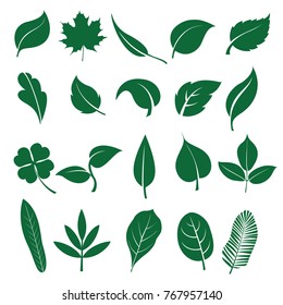 Leaves icon set on a white background. Various shapes of green leaves of trees and plants.