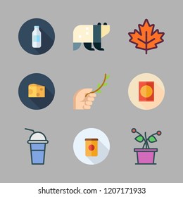 leaves icon set. vector set about maple leaf, products, plant and branch icons set.