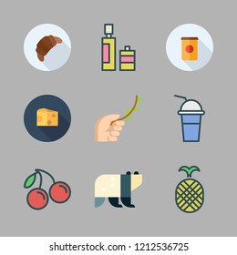 leaves icon set. vector set about pineapple, panda bear, olive oil and branch icons set.