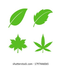 Leaves icon set vector. Cannabis Marijuana, Maple, Tea Leaf flat illustration collection symbol for design, Web design, Infographics, UI, Business and more.