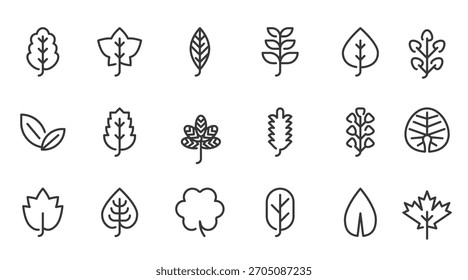 Leaves icon set. Vector illustration