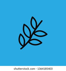 leaves icon vector