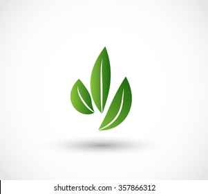Leaves icon vector
