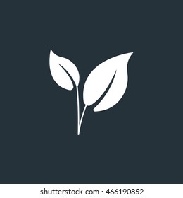 Leaves icon, Vector