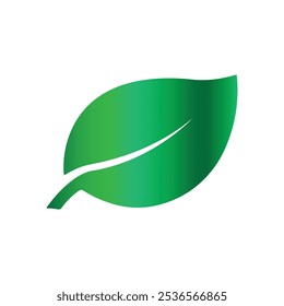 leaves icon vector green art design.