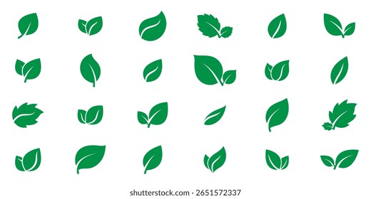 Leaves icon vector illustration. Leaf shapes collection