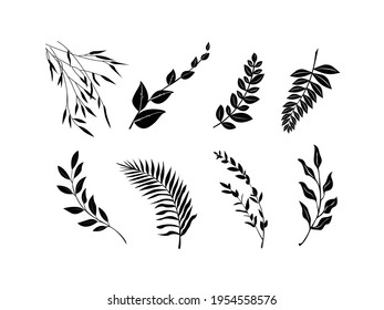 leaves Icon Vector illustration. Nature Leaf decorative symbol. Tropical Leaves of trees and plants sign, emblem isolated on white background, Flat style for graphic and web design, logo. EPS10 black