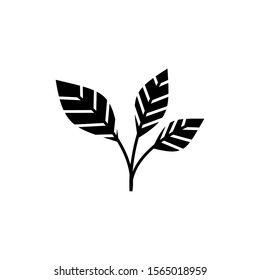 Leaves icon vector illustration template for many purpose. Isolated on white background.