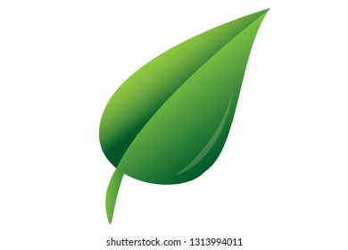 Leaves icon vector  isolated on white background.
