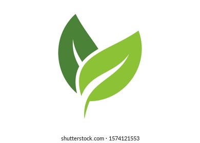 Leaves icon vector isolated on white background. Various shapes of green leaves of trees and plants. Elements for eco and bio logos.