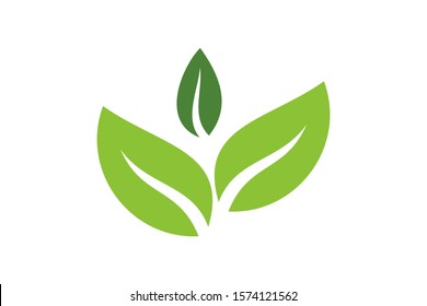 Leaves icon vector isolated on white background. Various shapes of green leaves of trees and plants. Elements for eco and bio logos.