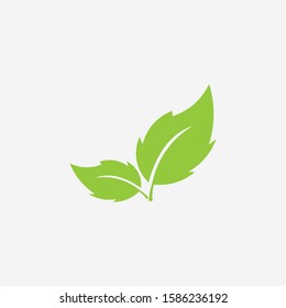 Leaves icon vector isolated on white background.