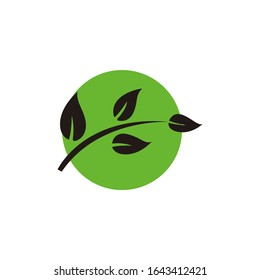 Leaves icon vector isolated on white background. a shapes of green leaves of trees and plants. Elements for eco and bio logos.