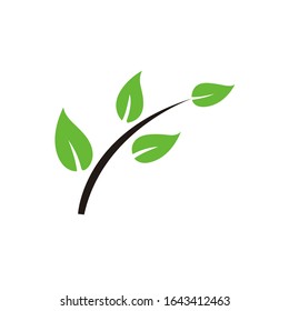 Leaves icon vector isolated on white background. a shapes of green leaves of trees and plants. Elements for eco and bio logos.