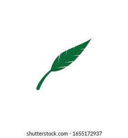 Leaves icon vector isolated on white background. Various shapes of green leaves of trees and plants.