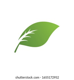 Leaves icon vector isolated on white background. Various shapes of green leaves of trees and plants.