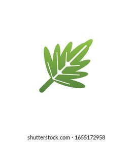Leaves icon vector isolated on white background. Various shapes of green leaves of trees and plants.