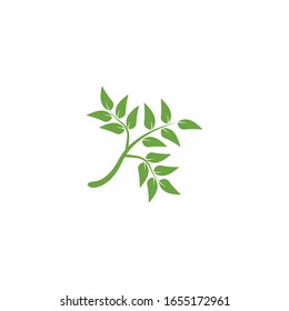 Leaves icon vector isolated on white background. Various shapes of green leaves of trees and plants.