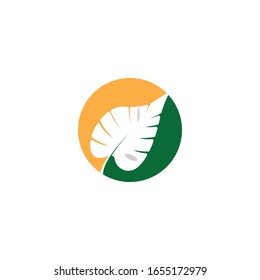 Leaves icon vector isolated on white background. Various shapes of green leaves of trees and plants.
