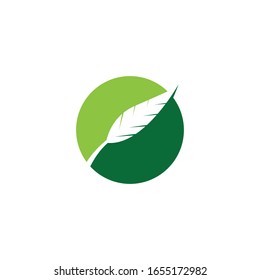 Leaves icon vector isolated on white background. Various shapes of green leaves of trees and plants.