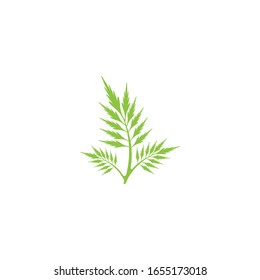 Deja aislado el vector de icono en el fondo blanco. Varias formas de hojas verdes de árboles y plantas.