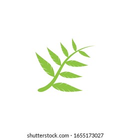 Leaves icon vector isolated on white background. Various shapes of green leaves of trees and plants.