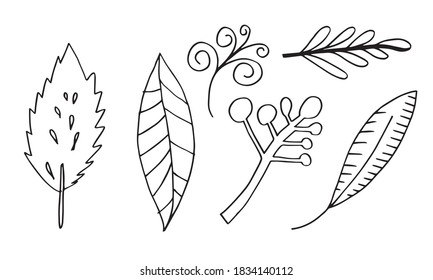Deja aislado el vector de icono en el fondo blanco.Elementos para el diseño de concepto, eco y bio logos.ilustración vectorial.