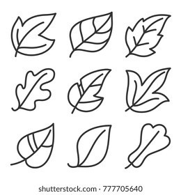 Leaves icon vector set